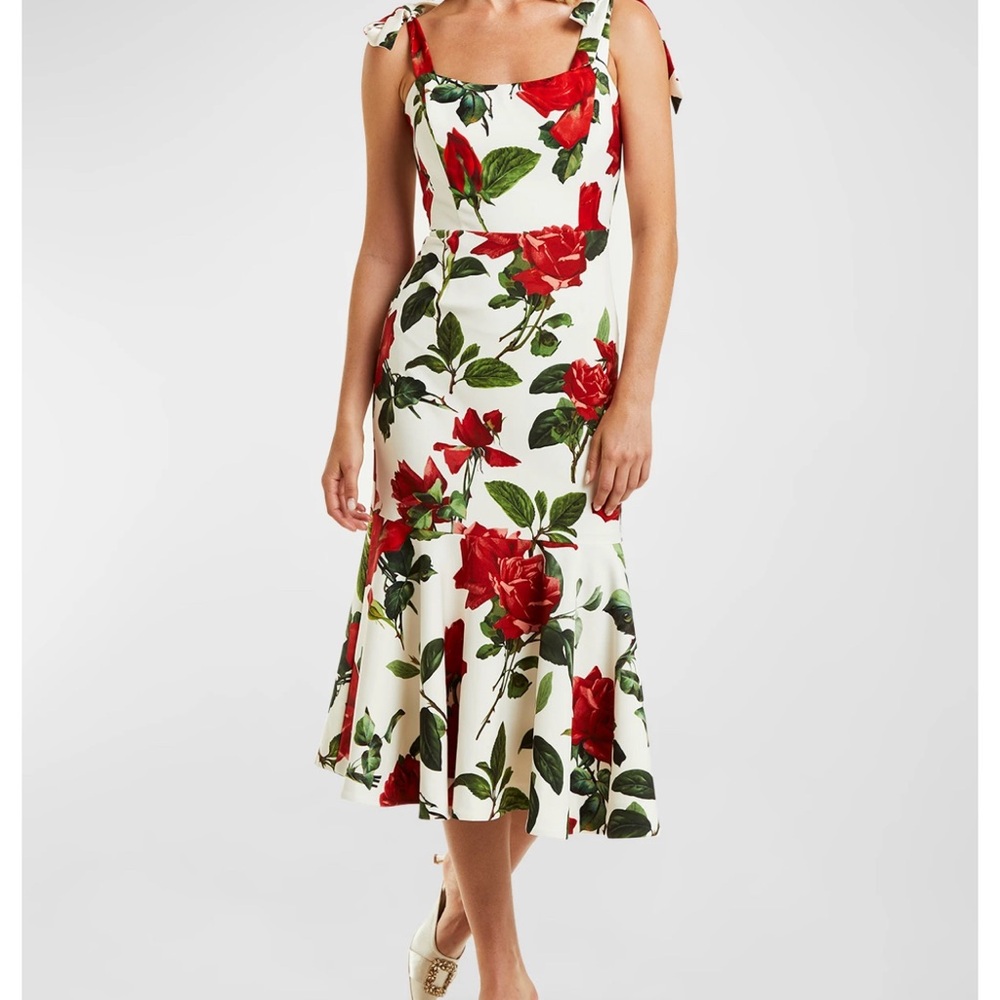 MESTIZA New York Floral Sleeveless Dress - Red and Cream mid length